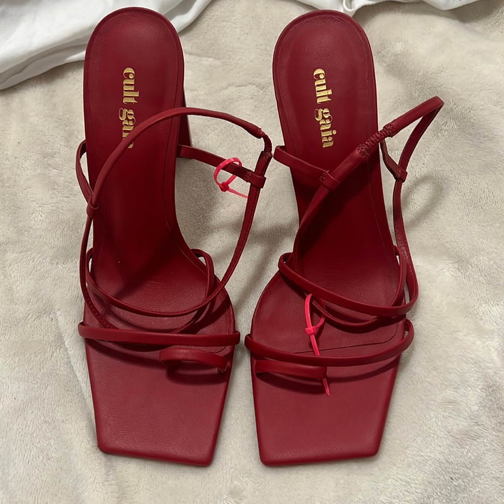 Cut Gaia-  never been worn strappy heels